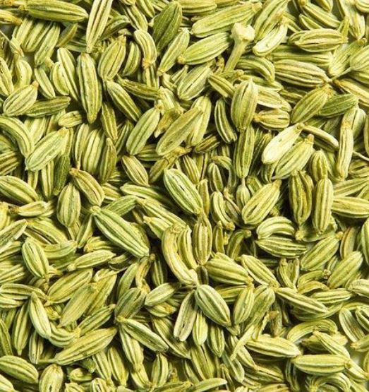 FENNEL SEEDS 25kg