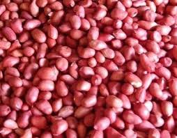 RED PEANUTS 25kg HEERA