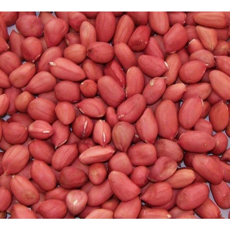 RED PEANUT 1.5KG ALI BABA