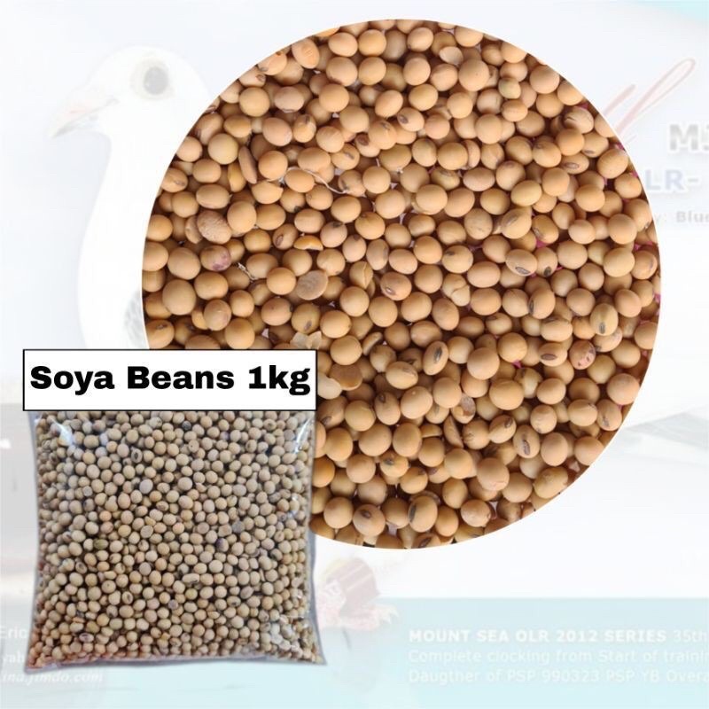 SOYA BEANS 10X1KG