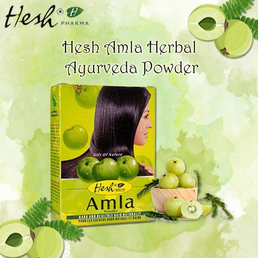 [C200008] AMLA POWDER 100G HESH